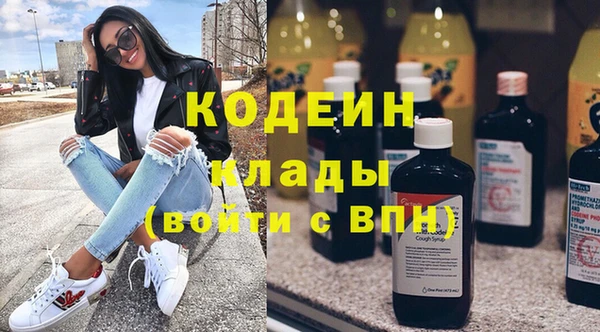 ПСИЛОЦИБИНОВЫЕ ГРИБЫ Гусь-Хрустальный
