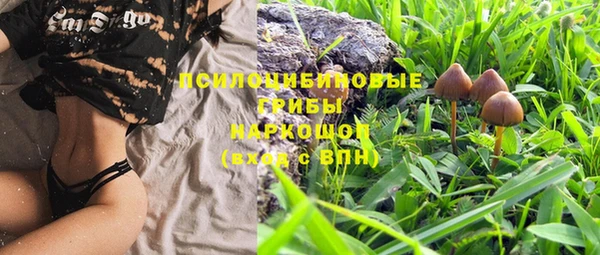 таблы Гусиноозёрск