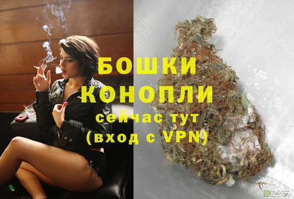 ПСИЛОЦИБИНОВЫЕ ГРИБЫ Гусь-Хрустальный