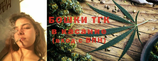 ПСИЛОЦИБИНОВЫЕ ГРИБЫ Гусь-Хрустальный