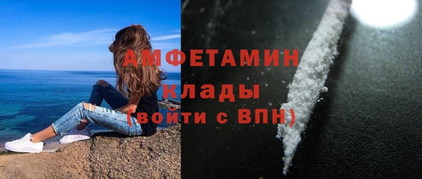 ПСИЛОЦИБИНОВЫЕ ГРИБЫ Гусь-Хрустальный
